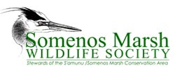 Somenos Marsh Wildlife society